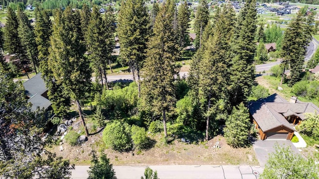 TBD Majestic View Dr, Mccall, ID 83638