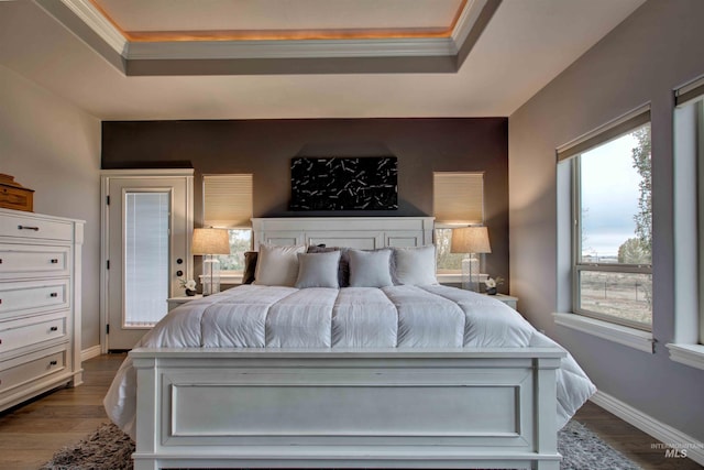 3330 E 4050 N, Twin Falls, ID 83301 - bedroom featuring a tray ceiling, crown molding, and dark wood-style floors