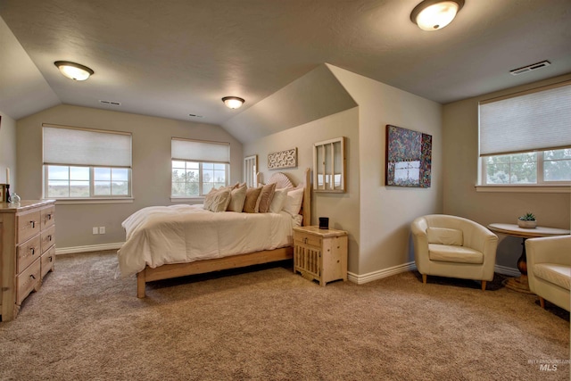 3330 E 4050 N, Twin Falls, ID 83301 - carpeted bedroom with visible vents, multiple windows, and lofted ceiling