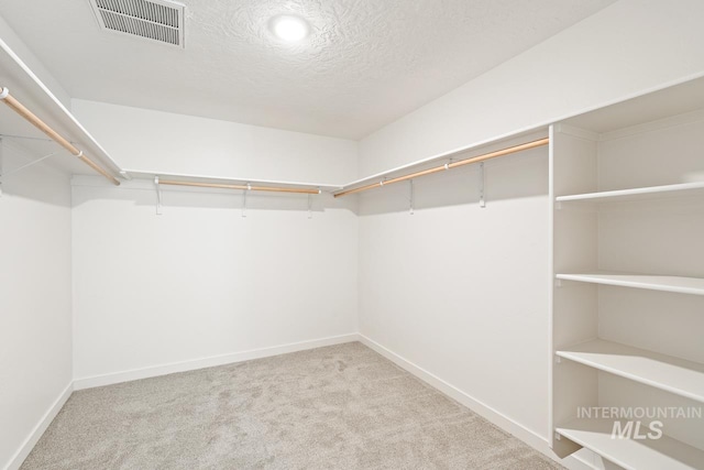 spacious closet featuring visible vents and carpet floors