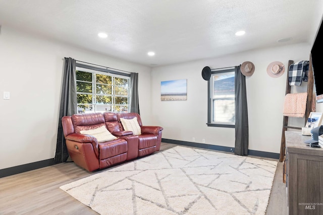 living room with a textured ceiling and light hardwood / wood-style flooring