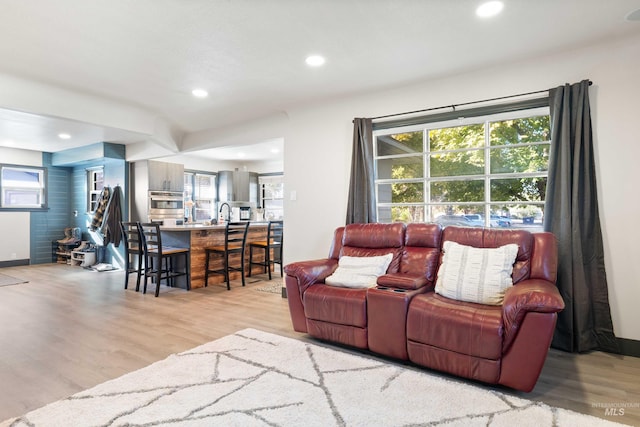 living room with light wood-type flooring and a healthy amount of sunlight