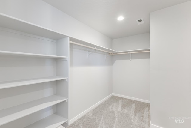 4372 N Magical Creek Ave, Meridian, ID 83646 - spacious closet with visible vents and carpet