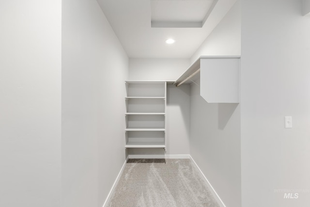4372 N Magical Creek Ave, Meridian, ID 83646 - spacious closet featuring carpet
