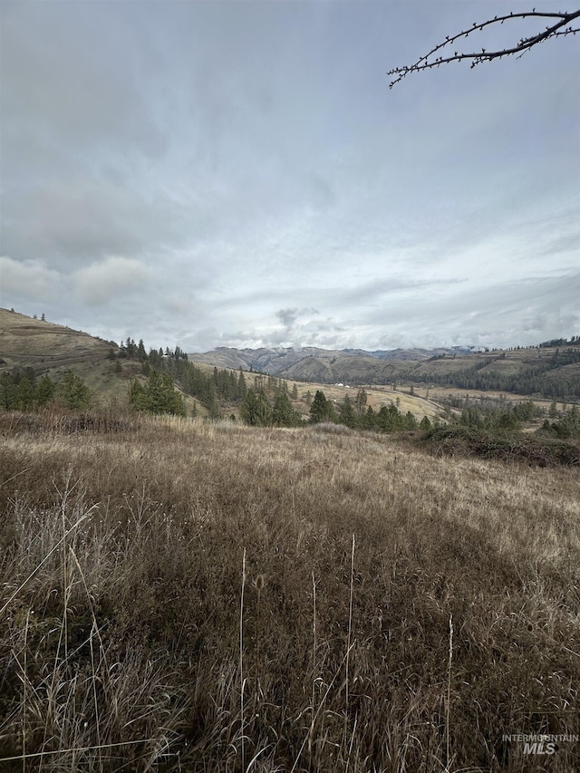 Listing photo 2 for TBD Canyon Dr, Kooskia ID 83539