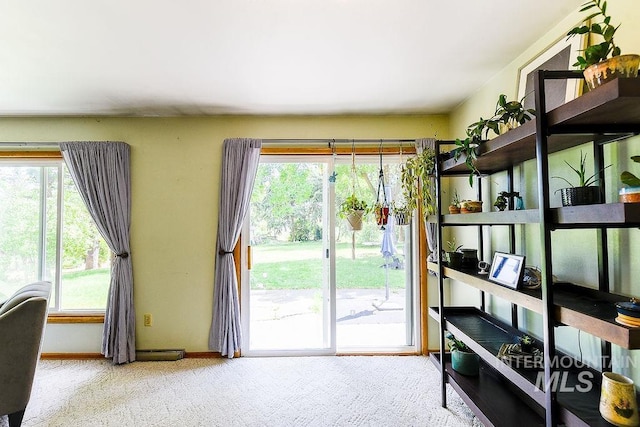 1021 E 5th St, Moscow, ID 83843 - entryway with healthy amount of natural light and carpet floors