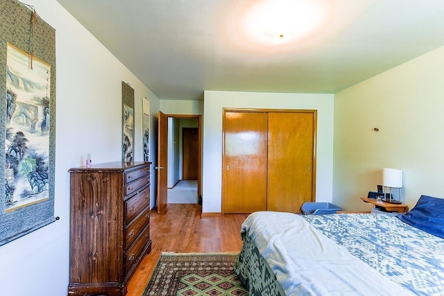 1021 E 5th St, Moscow, ID 83843 - bedroom featuring wood finished floors and a closet