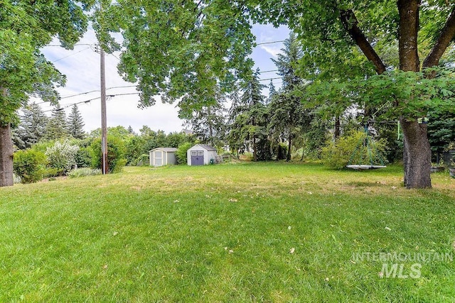 1021 E 5th St, Moscow, ID 83843 - view of green lawn with a storage shed
