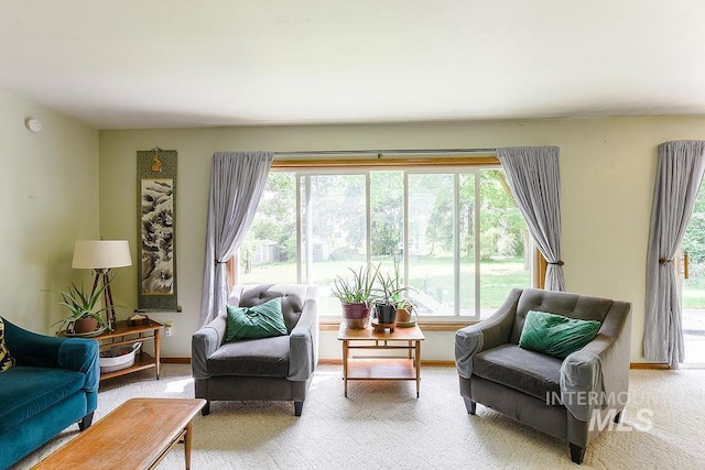 1021 E 5th St, Moscow, ID 83843 - carpeted living area with baseboards