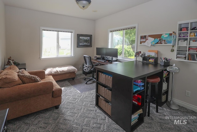 carpeted office space with a healthy amount of sunlight