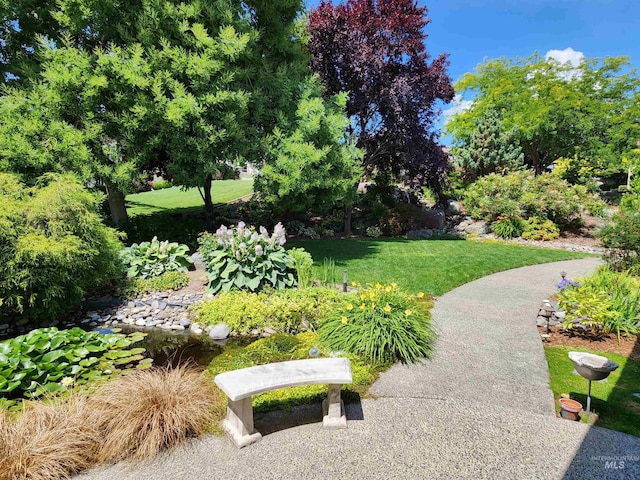 view of community featuring a yard