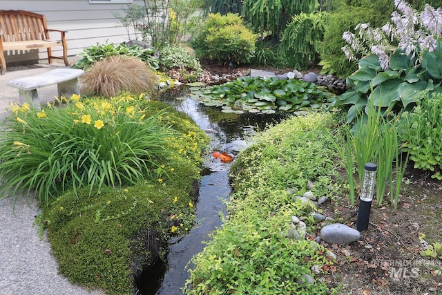 view of yard featuring a small pond