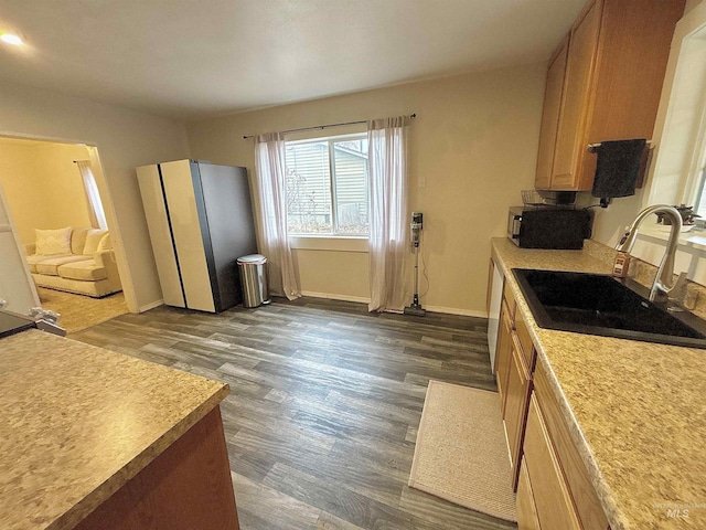 kitchen with dark hardwood / wood-style flooring, sink, and white dishwasher