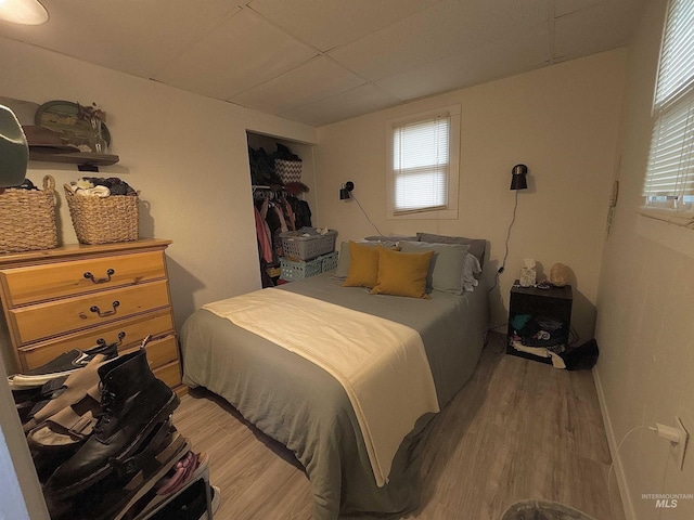 bedroom featuring a closet, wood-type flooring, and multiple windows