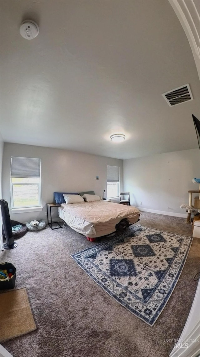 808 Adell Ave, Filer, ID 83328 - carpeted bedroom with multiple windows and visible vents