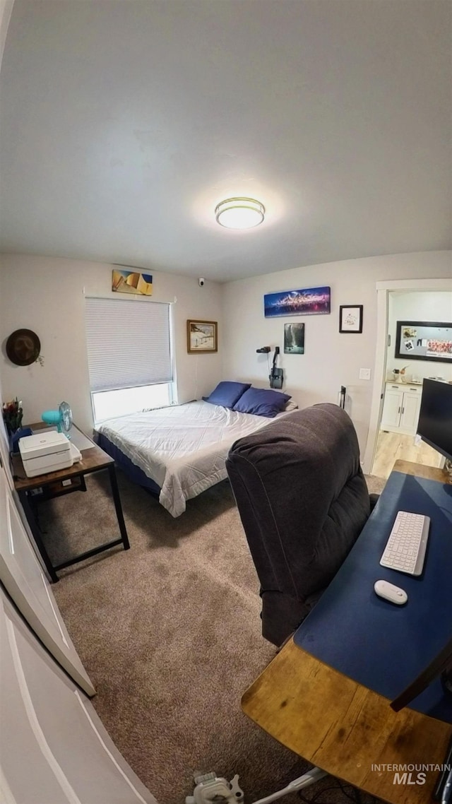 808 Adell Ave, Filer, ID 83328 - bedroom featuring carpet flooring