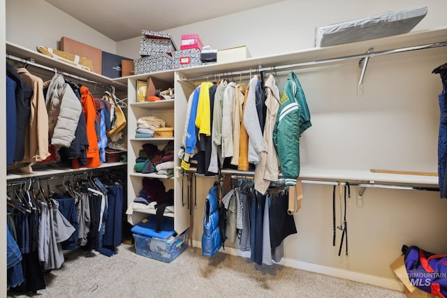 walk in closet featuring carpet