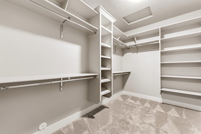 4469 E Wingate Ct, Nampa, ID 83687 - walk in closet featuring attic access and carpet floors