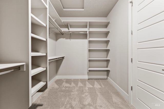 4469 E Wingate Ct, Nampa, ID 83687 - spacious closet featuring carpet flooring