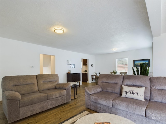 living room with a textured ceiling and dark hardwood / wood-style flooring