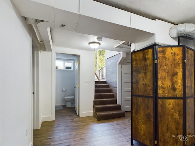 basement with wood-type flooring