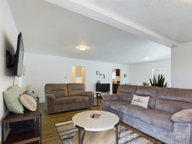 living room with a textured ceiling and hardwood / wood-style floors