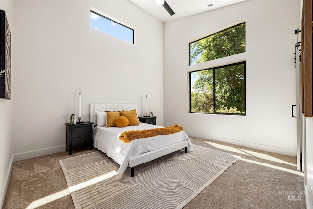 1796 S Eagleson Rd, Boise, ID 83705 - bedroom featuring carpet, a towering ceiling, and baseboards