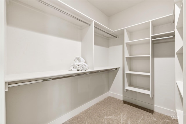 1796 S Eagleson Rd, Boise, ID 83705 - spacious closet featuring carpet flooring