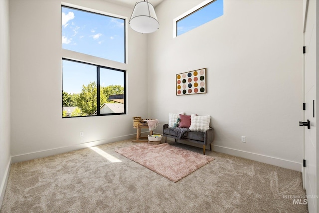 1796 S Eagleson Rd, Boise, ID 83705 - sitting room featuring carpet floors, baseboards, and a towering ceiling