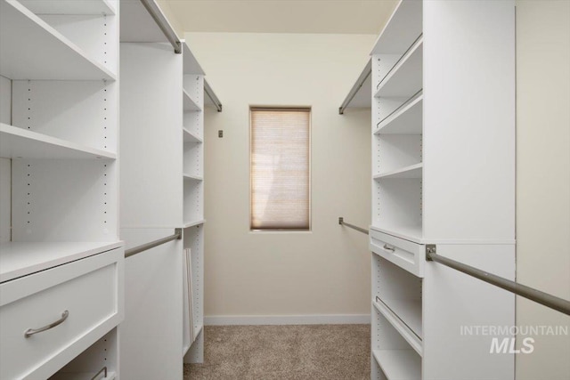 walk in closet with light colored carpet