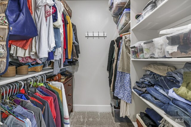 1317 Kyla Ct, Jerome, ID 83338 - walk in closet featuring carpet floors