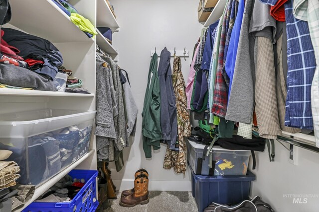 1317 Kyla Ct, Jerome, ID 83338 - walk in closet with carpet