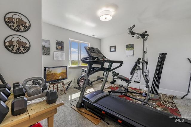 1317 Kyla Ct, Jerome, ID 83338 - workout room featuring baseboards and carpet flooring