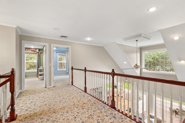 corridor featuring a wealth of natural light, ornamental molding, carpet, and visible vents