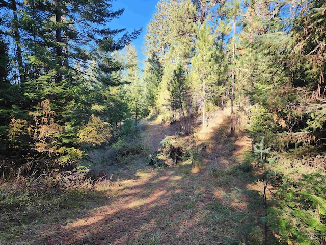 TBD Grangeville-Salmon Rd, Grangeville ID, 83530 land for sale