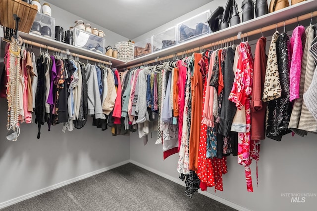 spacious closet with carpet floors