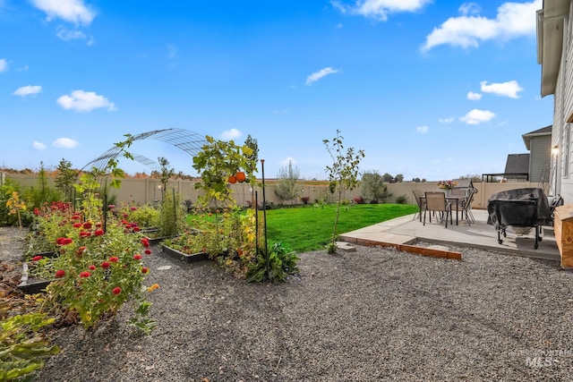 view of yard with a patio area