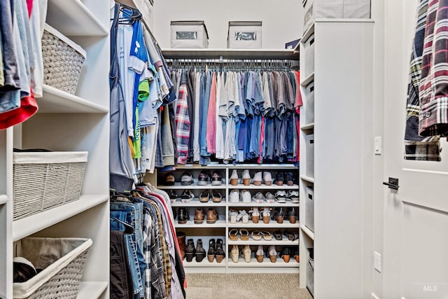 walk in closet featuring carpet floors