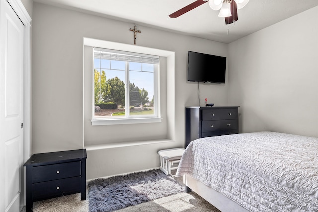 847 Bridget St, Twin Falls, ID 83301 - carpeted bedroom with a closet