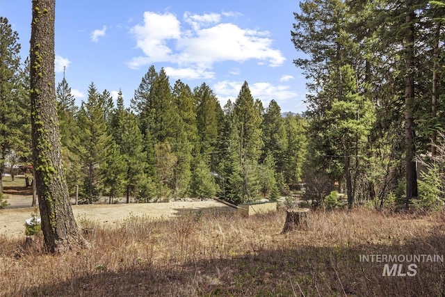view of nature with a forest view