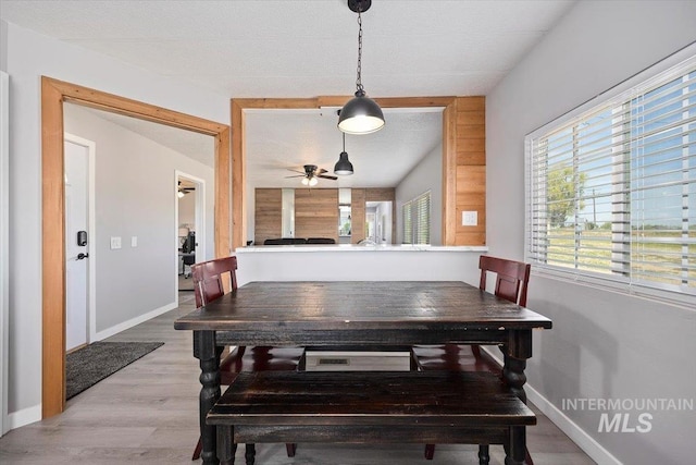 dining room with light wood-type flooring, baseboards, and ceiling fan