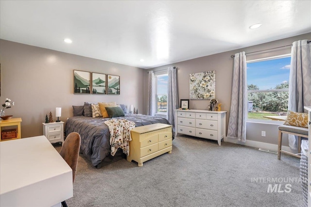 4076 N 3446 E, Kimberly, ID 83341 - carpeted bedroom featuring recessed lighting