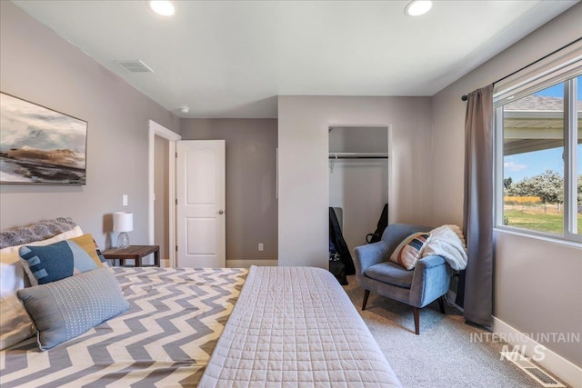 4076 N 3446 E, Kimberly, ID 83341 - bedroom with multiple windows, recessed lighting, carpet, and a closet