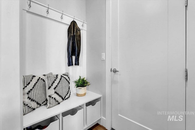 2959 S Shady Ln, Boise, ID 83716 - view of mudroom