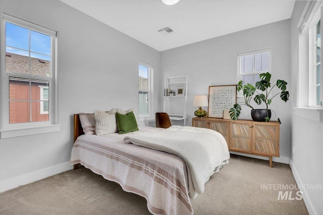 2959 S Shady Ln, Boise, ID 83716 - bedroom with light carpet and baseboards