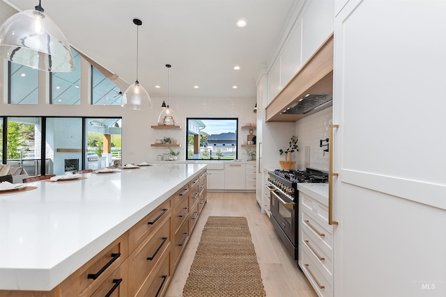 11950 W Lanktree Gulch Rd, Star, ID 83669 - kitchen featuring stainless steel range, tasteful backsplash, open shelves, light wood-type flooring, and light countertops
