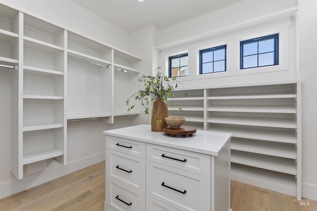 11950 W Lanktree Gulch Rd, Star, ID 83669 - spacious closet featuring light wood finished floors