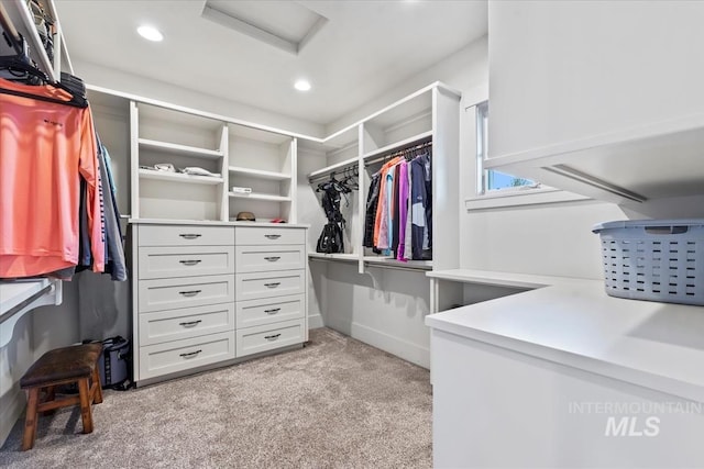 212 Ferguson Way, Mccall, ID 83638 - spacious closet featuring attic access and light carpet
