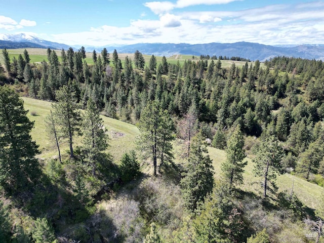 Listing photo 2 for TBD Banner Ridge, White Bird ID 83554