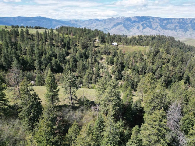 Listing photo 3 for TBD Banner Ridge, White Bird ID 83554